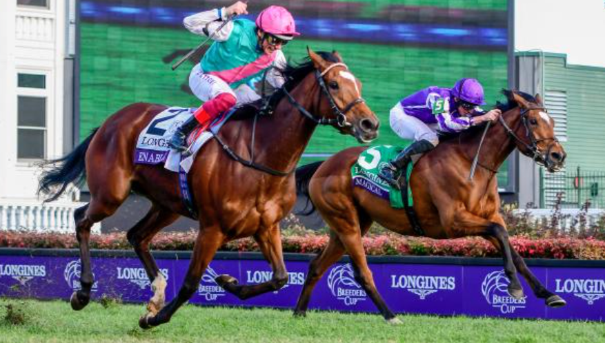 magic turf || magicturf